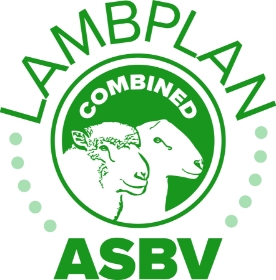 Combined LAMBPLAN Webinar