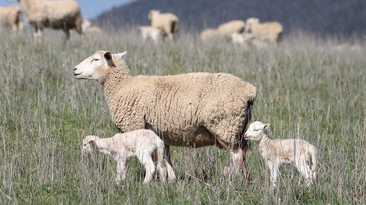 Updates to the fees and charges