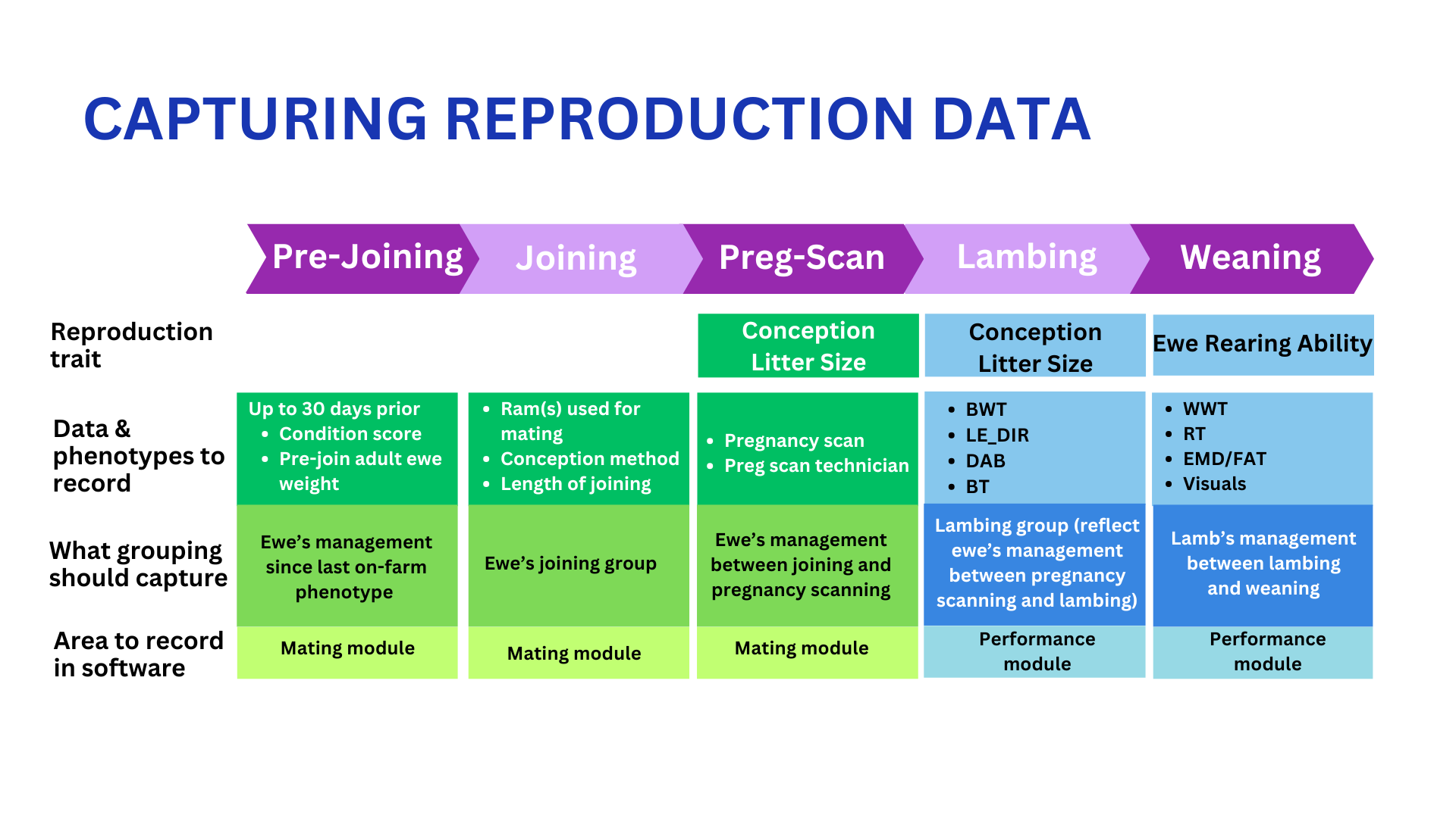 Reproduction pathway image