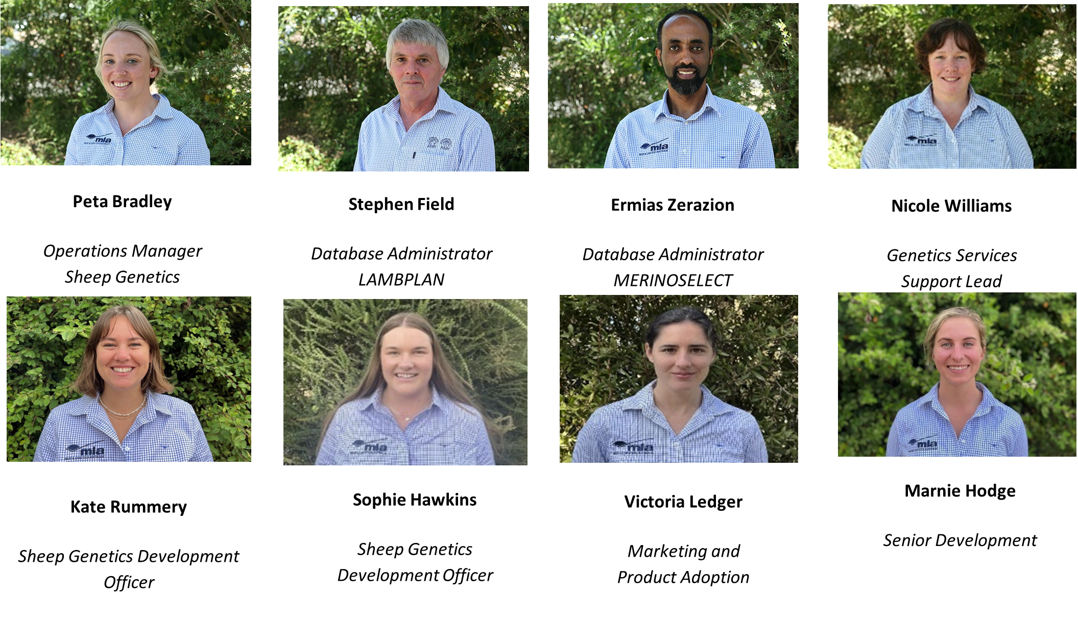 Sheep Genetics team